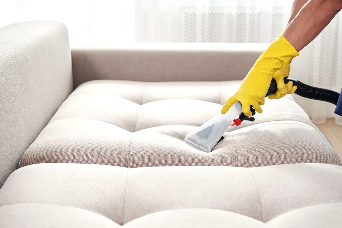 Nubuk Koltuk Neyle Silinir?