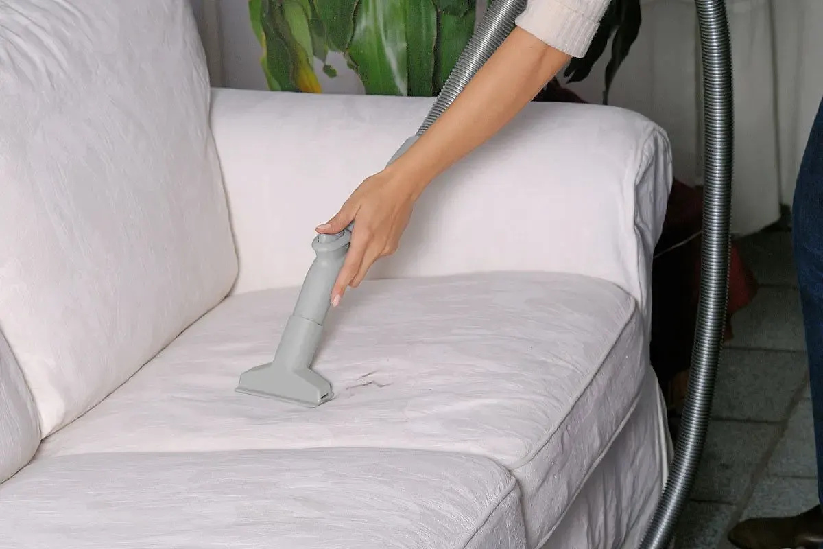 Evimiis Koltuk Yıkama Telefon Numarası