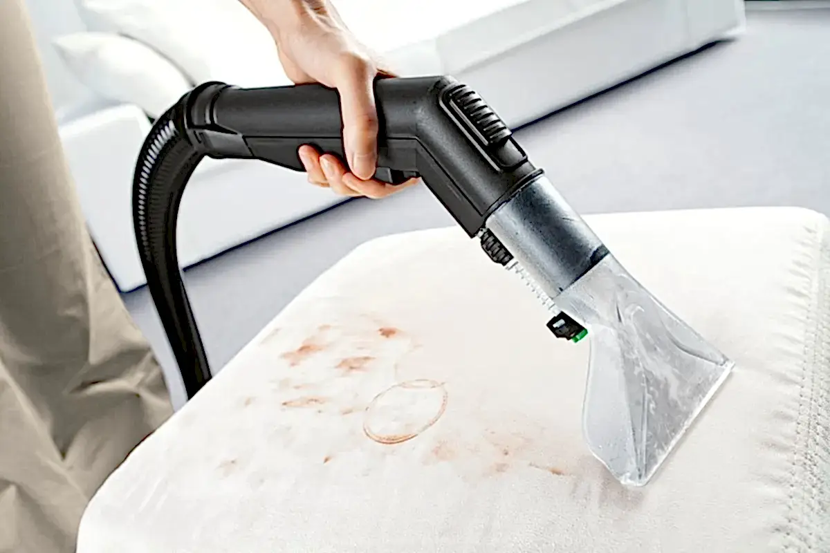 Kedi Çişi Kokusu Koltuktan Nasıl Çıkar?