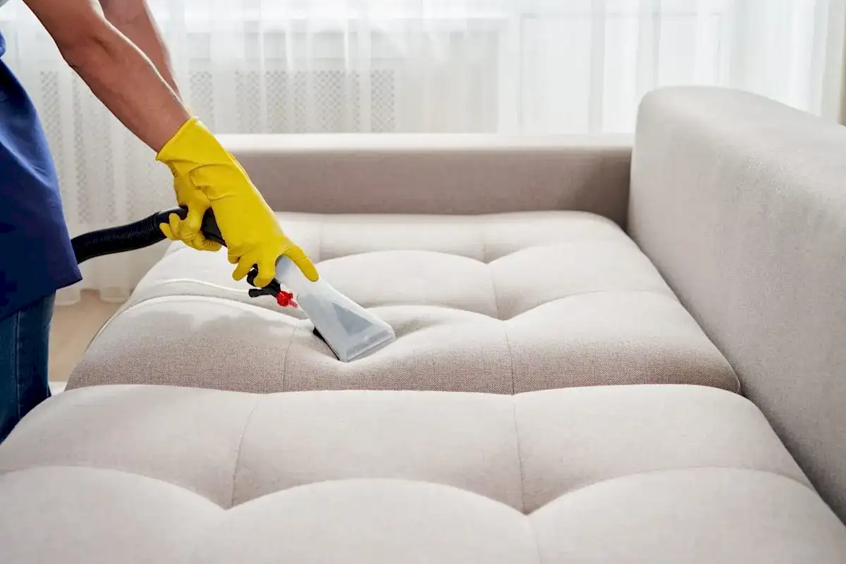 Evdeki Kedi Kokusu Nasıl Giderilir?