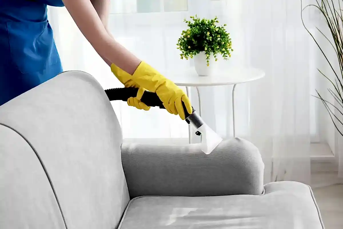 Kanepe Koltuk Temizliği