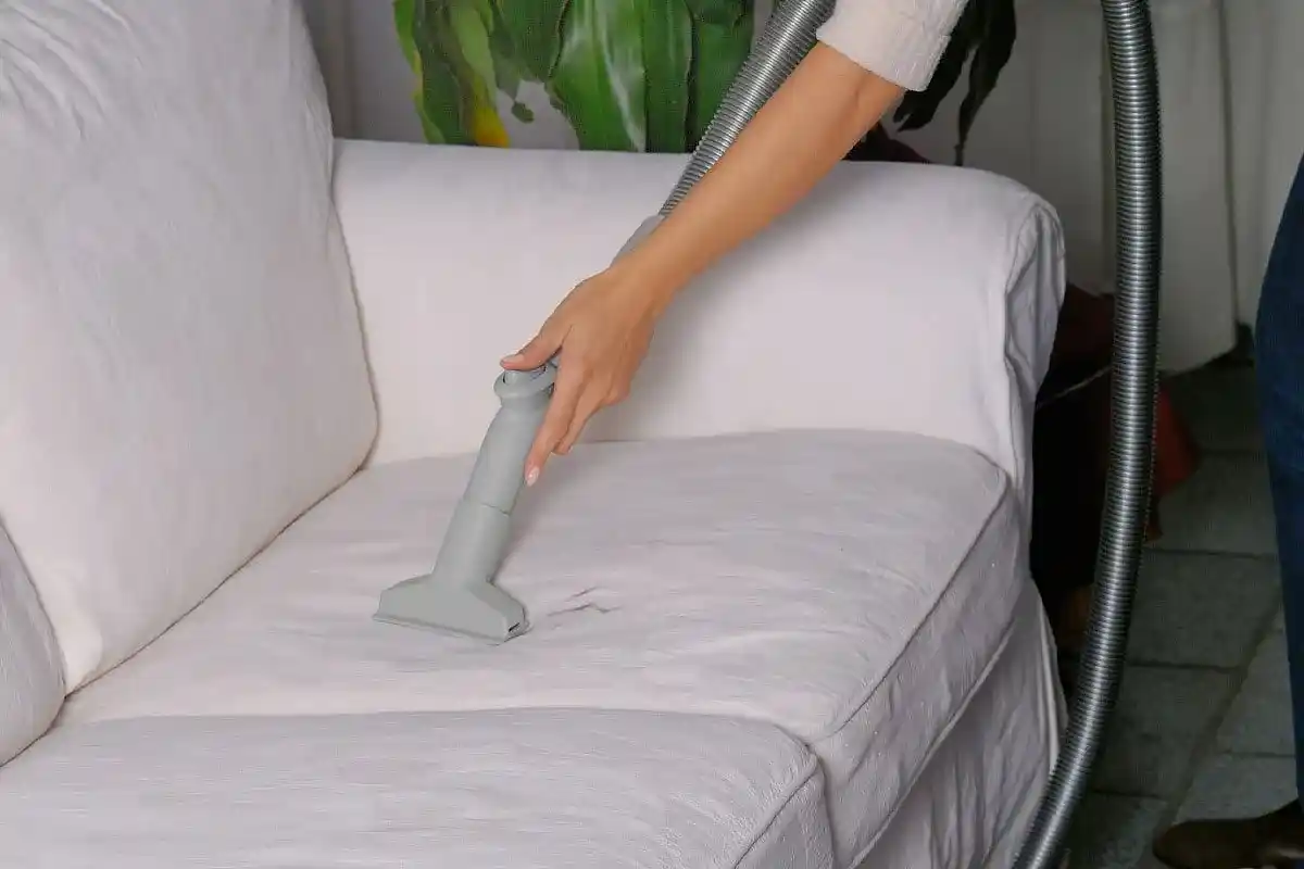 Kedi Çişi Kokusu Nasıl Geçer?