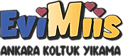 EviMiis Ankara Koltuk Yıkama
